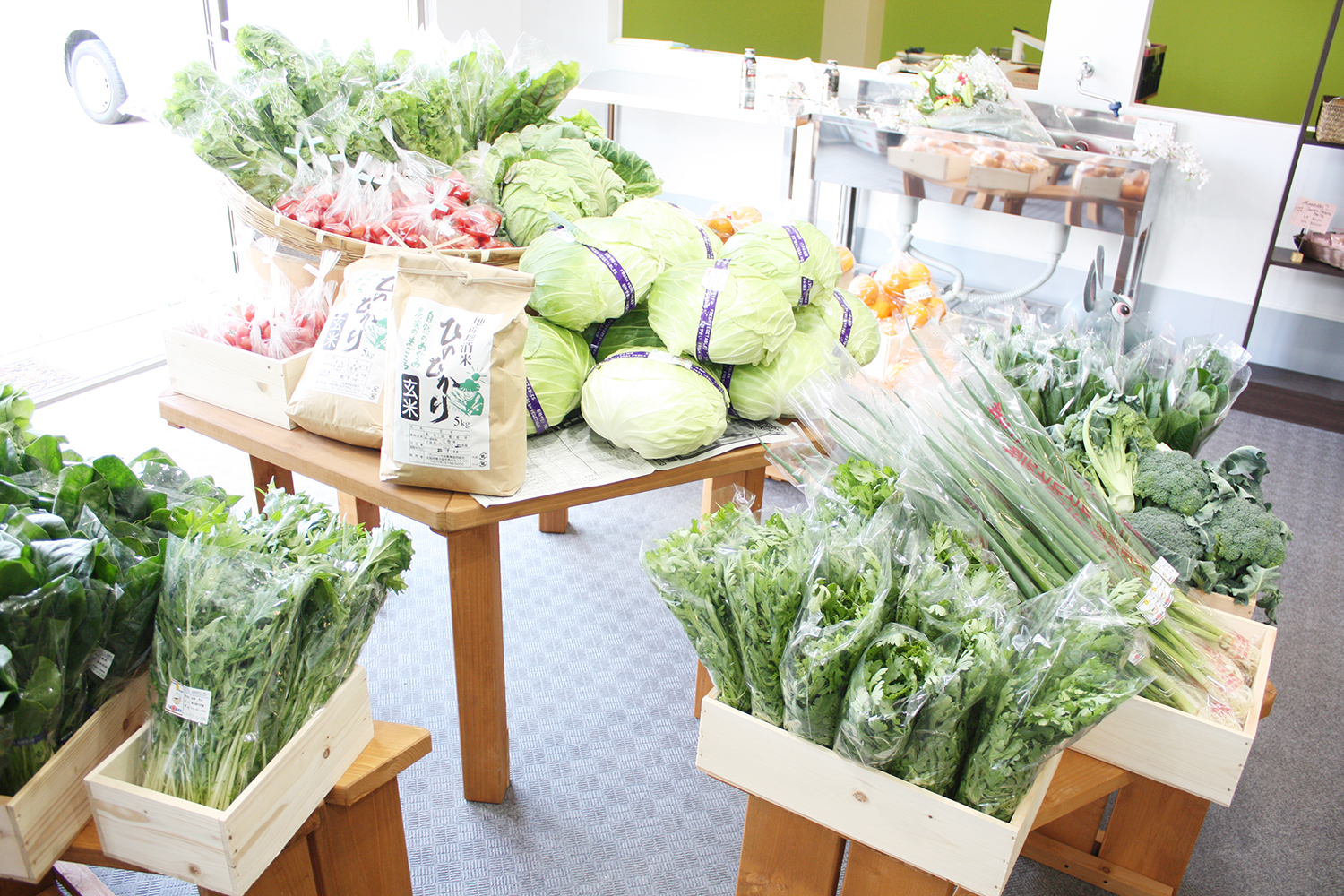 野菜販売　障がい児者総合福祉施設ノーサイド　生活介護　就労継続支援型　短期入所　大阪府東大阪市荒川