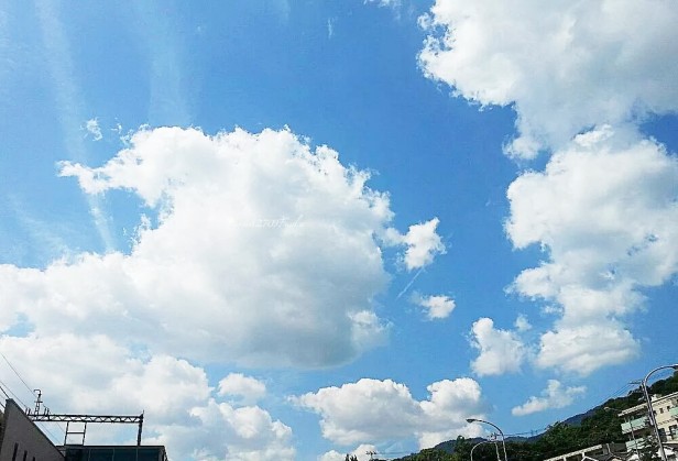 公園へgo