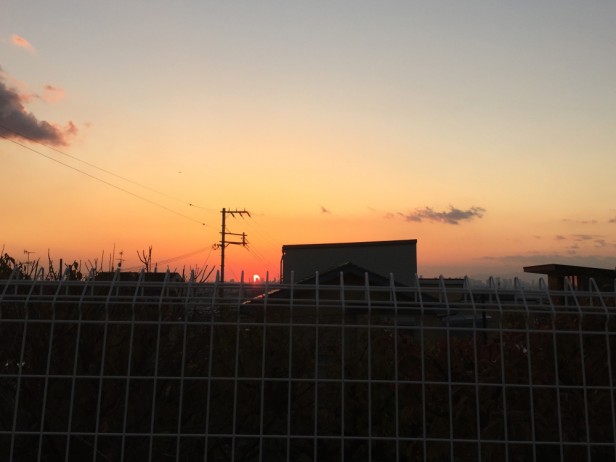 夕焼け