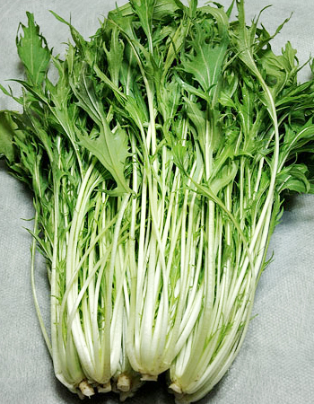 カブ付きの水菜